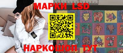 винт Новозыбков