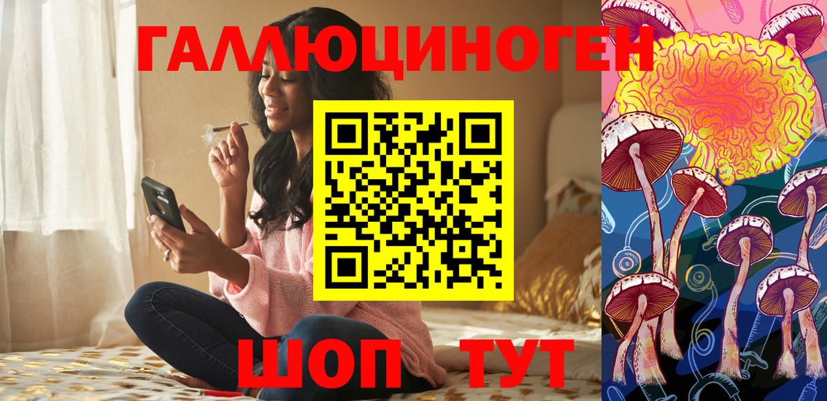 Буйнакск  Псилоцибиновые грибы Psilocybe  Вход с VPN  Галлюциногенные грибы MAGIC MUSHROOMS 